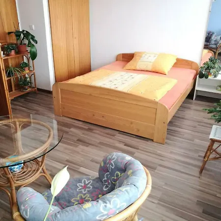 Spacious Near Brno. Samostatny Byt V Rd Apartament *