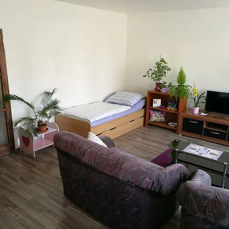 Apartament Spacious Near Brno. Samostatny Byt V Rd