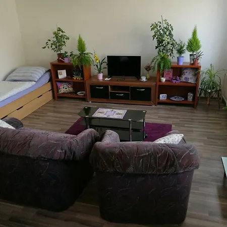 Spacious Near Brno. Samostatny Byt V Rd Slapanice